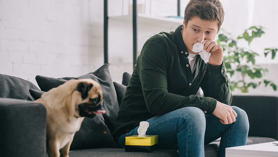 Purchasing an air purifier is one of the wisest ways to enhance your residence’s indoor air quality. Discover more about the three smartest options. 